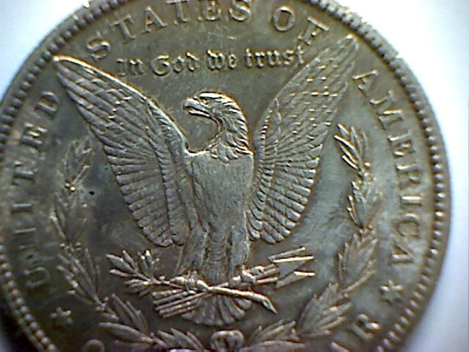 Grade-My-Morgans